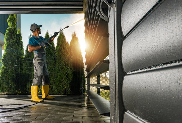 Best Graffiti Removal Services in Cotati, CA